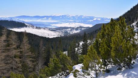 Winter Majesty of Slovak Mountains wallpaper