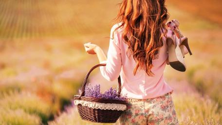 Charming Day in a Lavender Field wallpaper