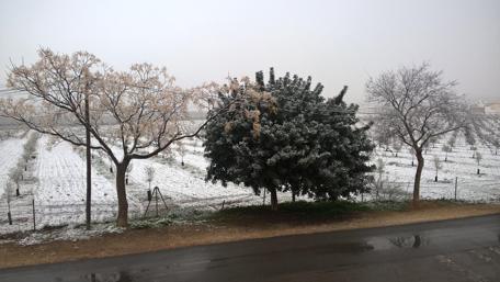 Winter's Embrace with Serene Snowfall wallpaper
