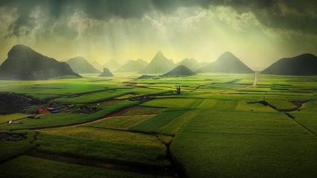 Serene Green Fields Under Dramatic Skies wallpaper