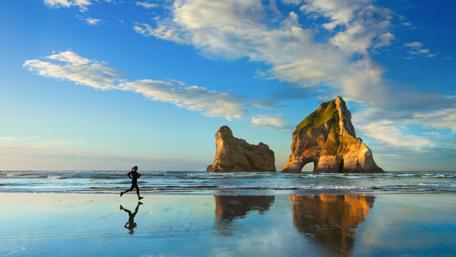 Running Free Along the Shoreline wallpaper