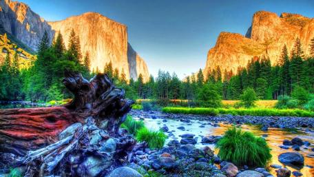 Rocky Brook Among Cliffs and Trees wallpaper