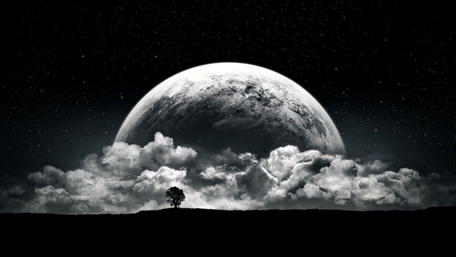 Lone Tree under a Cosmic Canopy wallpaper