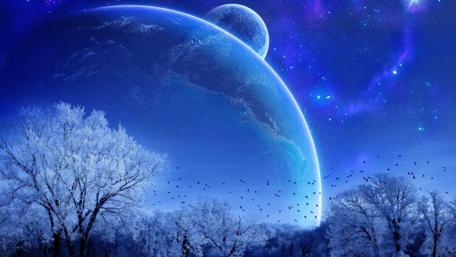 Winter night wallpaper