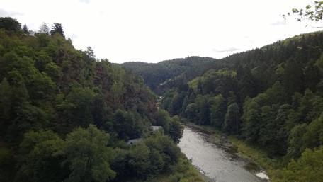 Serene River Surrounded by Lush Green Forests wallpaper