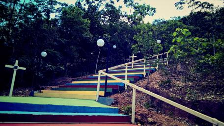 Vibrant Steps into Nature's Embrace wallpaper