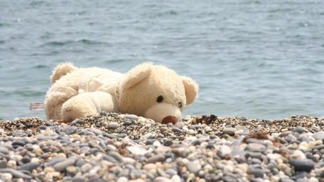 Teddy Bear by the Shore’s Edge wallpaper
