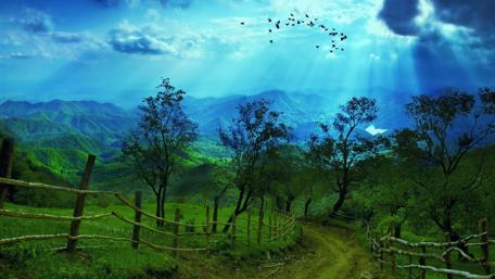 Pathway Through Verdant Mountains wallpaper