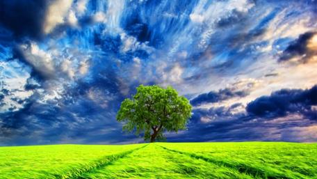 Serenity Beneath the Open Sky wallpaper