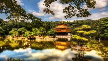 Golden Serenity at Kinkakuji Temple Wall Art wallpaper