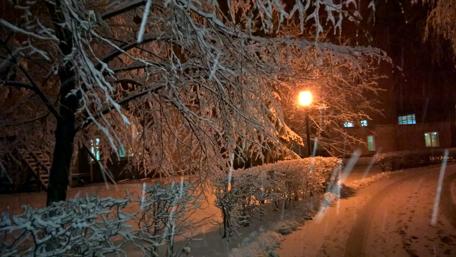 Winter Night in Siberian Snowy Landscape wallpaper