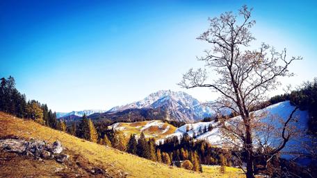 Winter Serenity in Nature's Embrace wallpaper