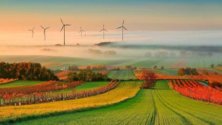 Serene Windmills Above a Misty Greenfield wallpaper