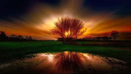 Golden Sunset Reflections wallpaper
