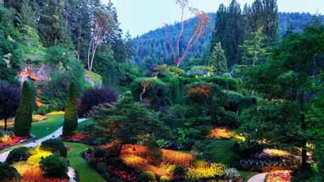 Vibrant Garden Oasis in Nature's Embrace wallpaper