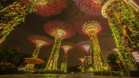 Supertree Grove (Singapore) wallpaper
