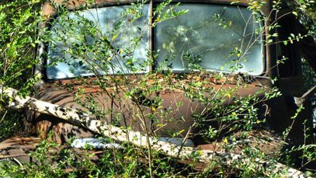 Forgotten Beauty of an Abandoned Car in Nature's Embrace wallpaper