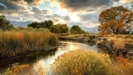 Serene Autumn Landscape with Water Reflection wallpaper