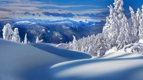 Winter's Serene Majesty in Blue wallpaper