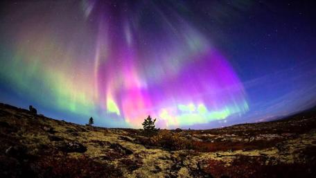 Enchanting Northern Lights Dance Across the Sky wallpaper