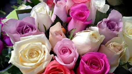 Colorful Rose Bouquet for a Bright Atmosphere wallpaper