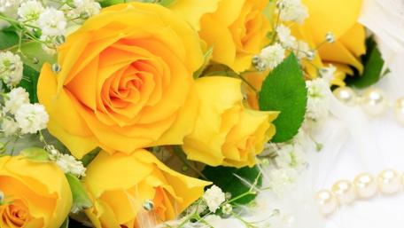 Golden Roses in Bloom wallpaper