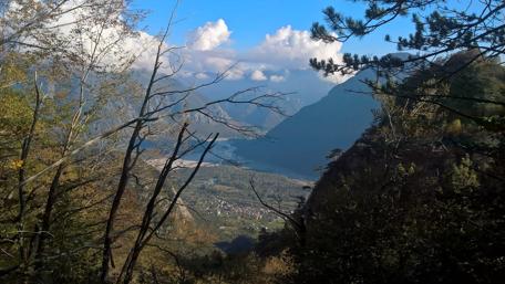 Majestic Mountain Valley View wallpaper