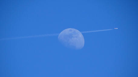Moonlit Flight Crossing the Blue Sky wallpaper