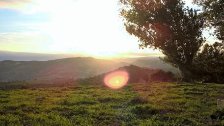 Serene Sunset Over Green Hillside wallpaper