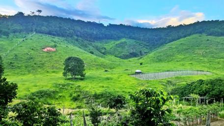 Serene Hillside Landscape Under a Blue Sky wallpaper