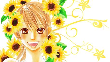 Bright Sunflower Smile from Chihayafuru wallpaper