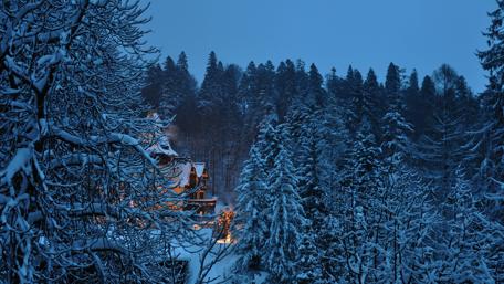 Enchanting Winter Castle Amidst Snowy Forest wallpaper