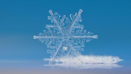 Frozen Elegance in Blue wallpaper