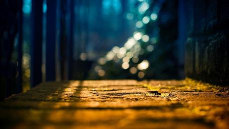 Nature's Tranquil Pathway to Serenity wallpaper