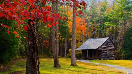 Autumn Cottage Serenity wallpaper