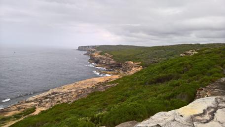 Serene Sydney Coastline View from a Balcony wallpaper
