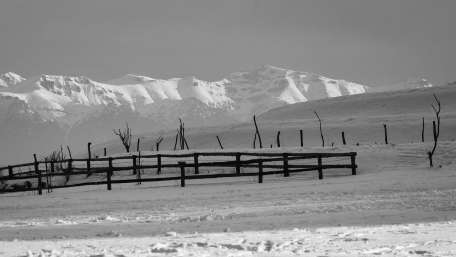 Serene Winter Landscape in Monochrome wallpaper