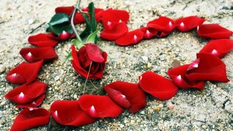 Romantic Heart of Rose Petals for Valentine's Day wallpaper