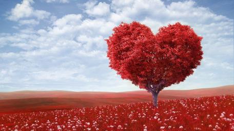 Love Blossoms in a Heart Tree wallpaper
