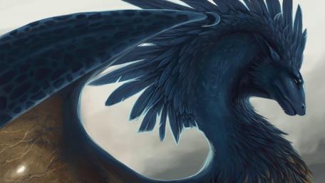 Majestic Feathered Dragon in Flight wallpaper