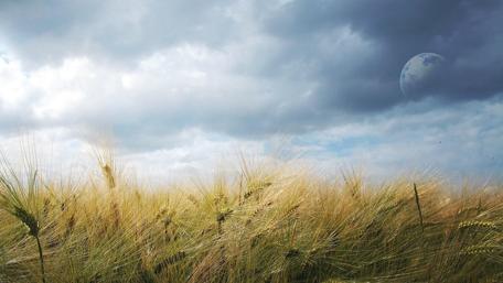 Fantasy Skies Over a Wheat Field wallpaper