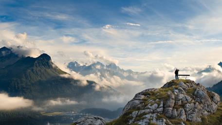 Serenity in Nature's Embrace wallpaper