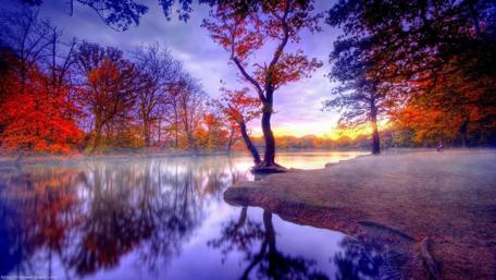 Autumn Serenity by the Lakeside wallpaper