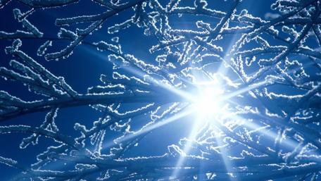 Frosty Radiance Under Winter Sunlight wallpaper