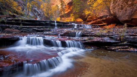 Cascading Autumn Serenity wallpaper