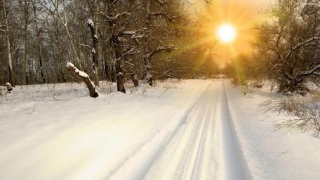 Winter Sunset in a Snowy Forest Pathway wallpaper