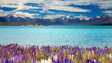 Blooming Beauty of Mountain Springtime Scenery wallpaper