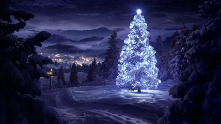 Winter Wonderland at Night wallpaper