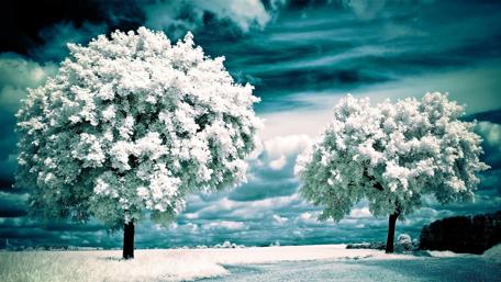 Frosty Serenity in Winter's Embrace wallpaper