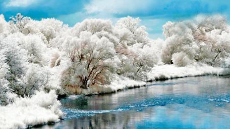 Winter's Tranquil Lake Escape wallpaper